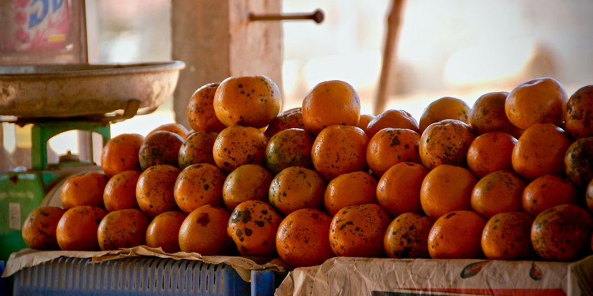 Exploring the vibrant Nagpur Orange Market is one of the best things to do in Nagpur.