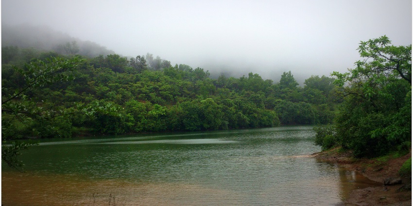 A view of Bhushi Dam, a popular destination near Lonavala, surrounded by lush greenery.