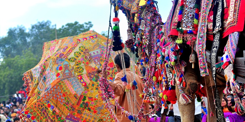If you’re wondering what to do in Bikaner on your next trip, explore the Bikaner Camel Festival, showcasing vibrant camel parades and traditional desert culture.