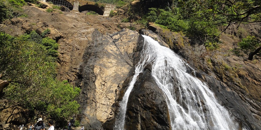 Go on a trek to Dudhsagar Waterfalls in Goa that has milky white waters