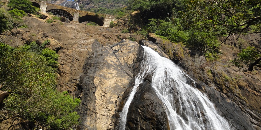 The Dudhsagar waterfalls are one of the scenic things to see in Goa for adults