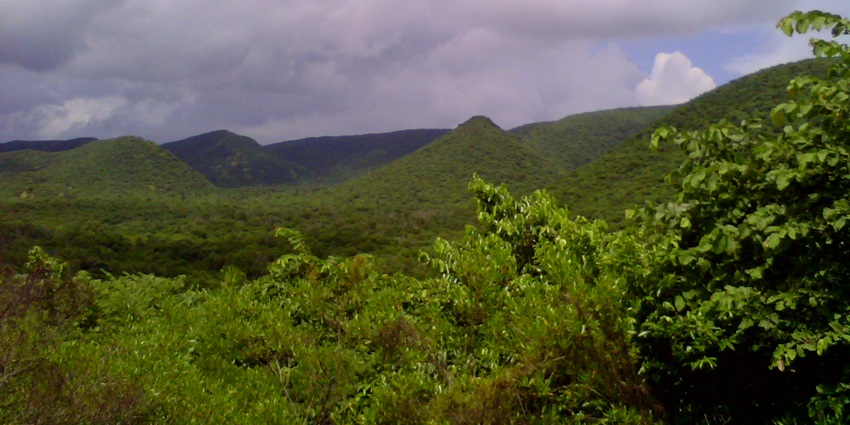 Image with the view of Eastern Ghats at Kambalakonda Wildlife Sanctuary in Visakhapatnam