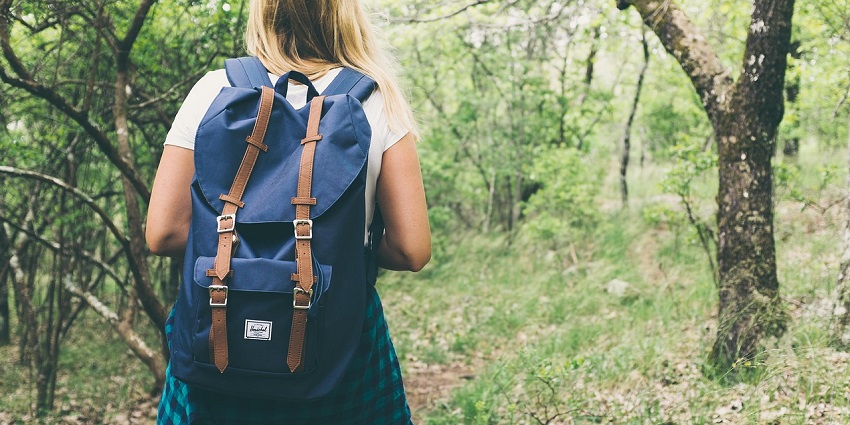 Enjoy a nature walk at the Nirvana Adventure Park in Hoshiarpur with fun adventures all around