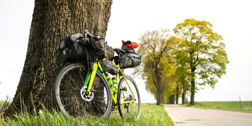 Rent a two-wheeler and explore the Benaulim’s natural beauty making it a great experience.