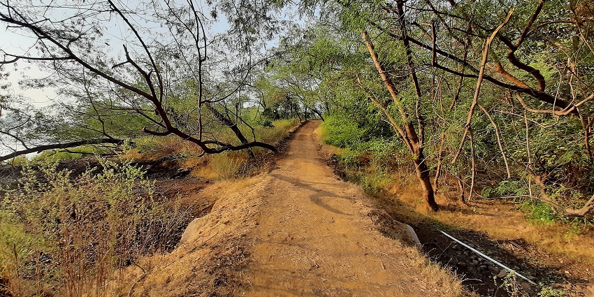 Lush greenery and wildlife trails inside Dumna Nature Reserve Park, Jabalpur, Madhya Pradesh.