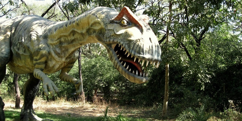 You will find 10 galleries, each showcasing all the details you’d need to know about the different types of dinosaurs.