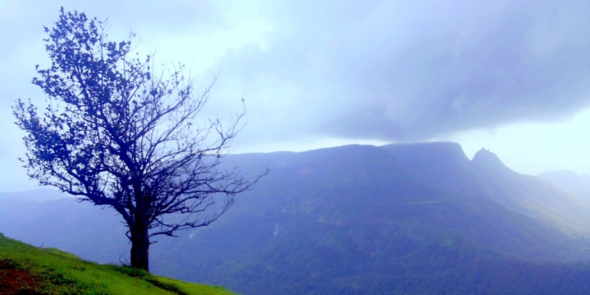 A scenic view of Matheran, featuring a tree on a hilltop overlooking lush green valley.