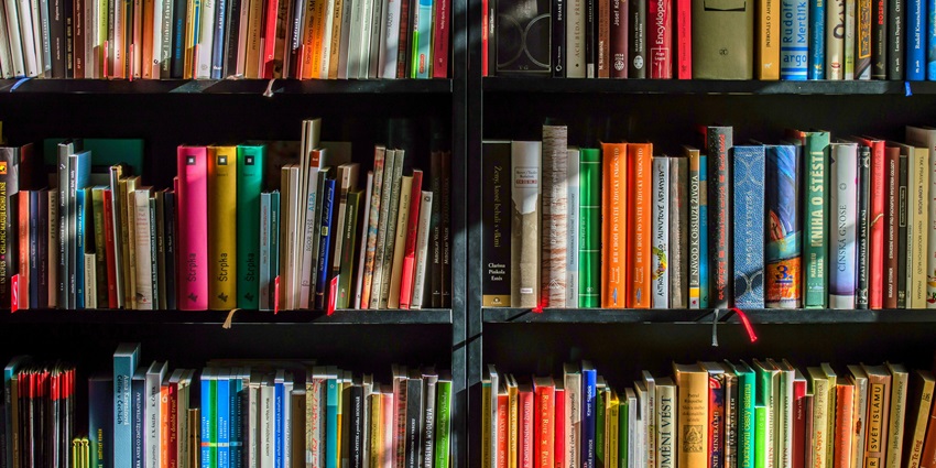 Image of books in black wooden book shelf - colourful book covers aesthetically arranged