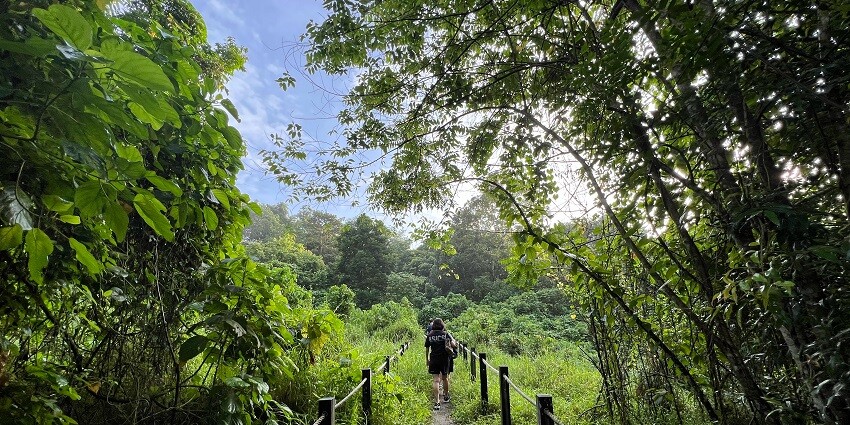 The image shows a part of the Ranakpur Nature Walk, featuring lush and well-maintained gardens.