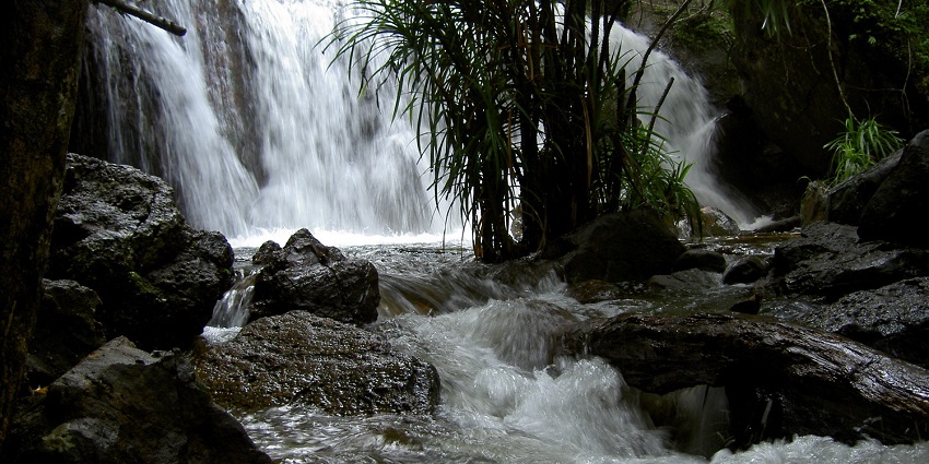 Hike to Suoi Tranh Waterfall, a serene escape and one of the things to see in Phu Quoc