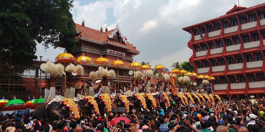 Decorated elephants in front of a huge crowd at Paramekkavu Temple during the Pooram festival.