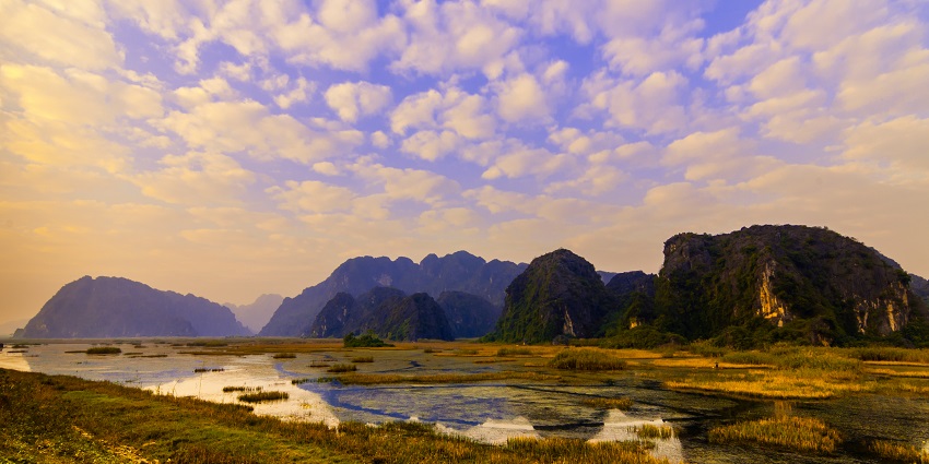 Van Long Swamp, a tranquil spot for boat rides and bird watching, is stunning in Ninh Binh