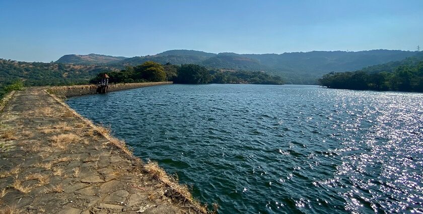 A glimpse of Lonavala, Maharashtra, featuring a quiet street lined with water body.