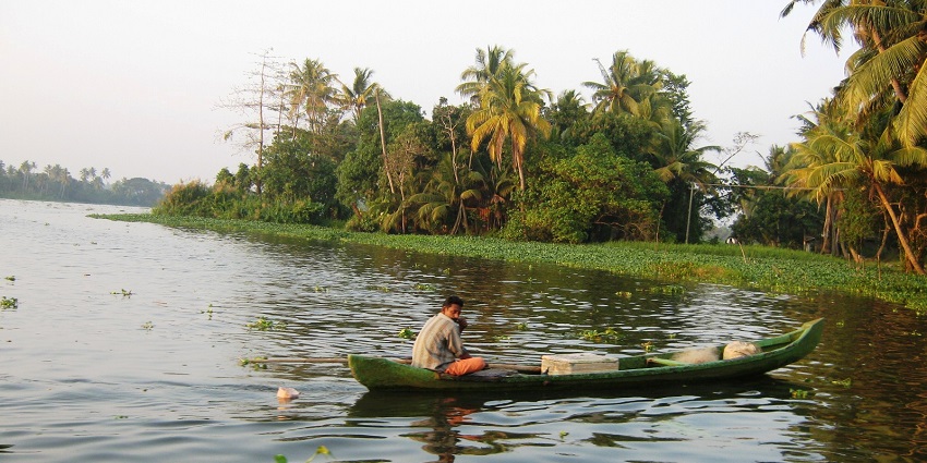 A man sailing along the Alleppey backwaters of Kerala, one of the things to do here