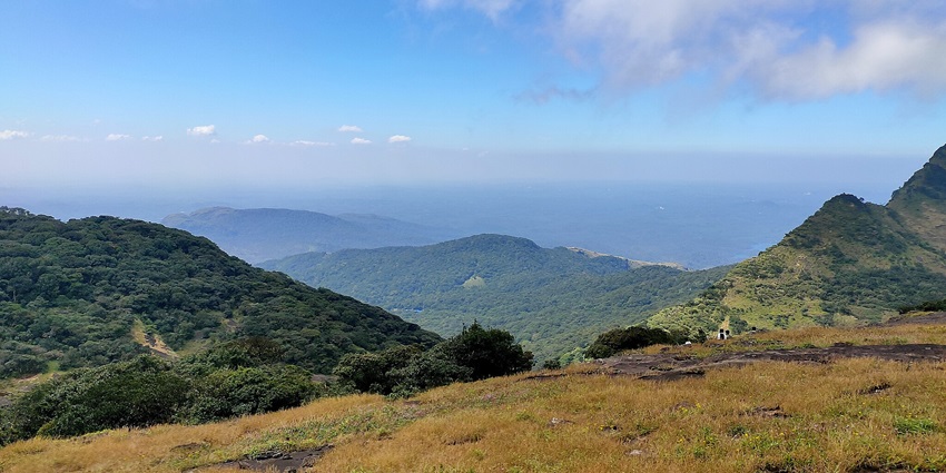 There are multiple factors that affect the Agasthyamalai trekking in Kerala.