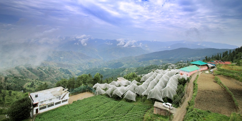 North-western view of Fagu, Himachal Pradesh, with terraced landscapes–offbeat places near Delhi