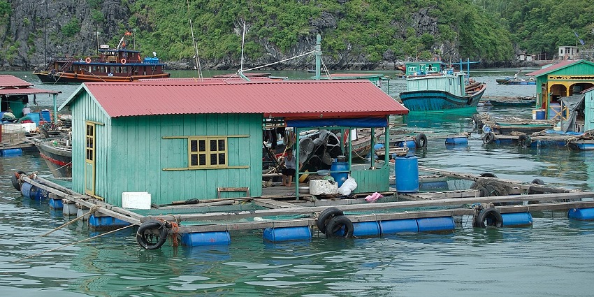 Explore the floating villages in Halong, one of the best things to do in Halong Bay.