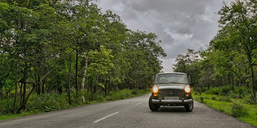 Classic Premier Padmini car traveling through the dense and scenic Srisailam forest, Andhra Pradesh.