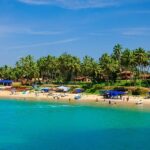 Picturesque view of Goa beach with clear blue sky and clear water near golden sand and palm trees