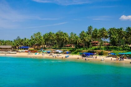 Picturesque view of Goa beach with clear blue sky and clear water near golden sand and palm trees