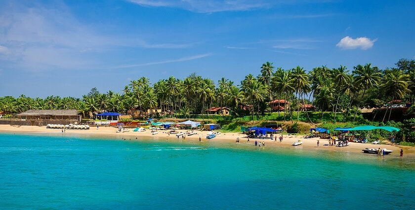 Picturesque view of Goa beach with clear blue sky and clear water near golden sand and palm trees