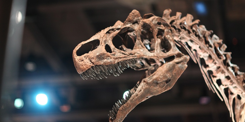 A dinosaur sculpture in Fossil Park near Desert National Park highlighting the region's fossil history.