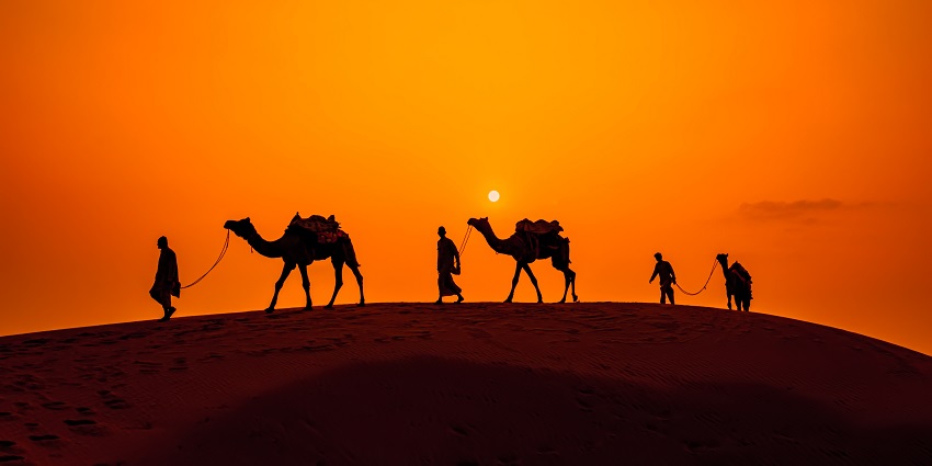 Moonlit desert safari with camel rides, stargazing, and Rajasthani cuisine