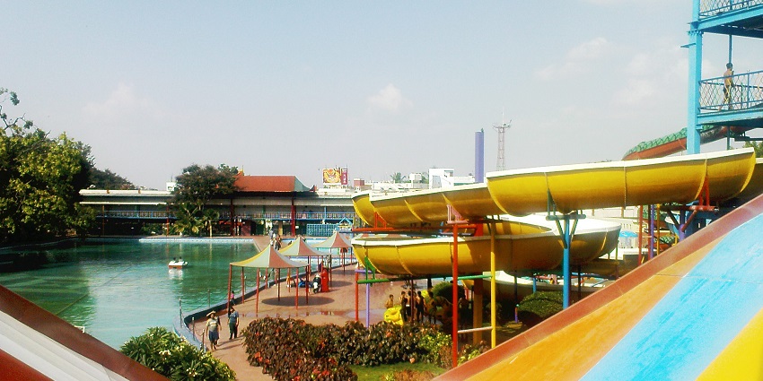 Exciting World Amusement Park featuring vibrant rides and vibrant crowds
