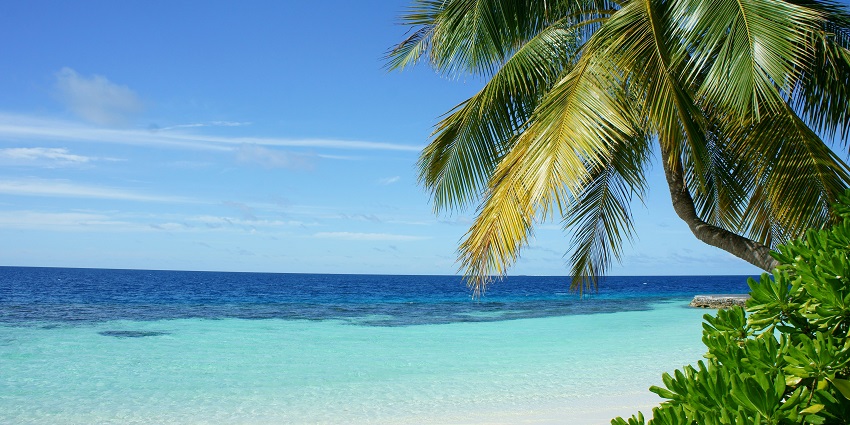 A mesmerising view of shimmering waters and golden sands decked with tall palm trees.