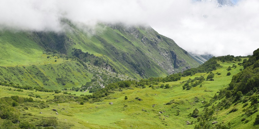 A picture of a valley taken from top of a hill with a green cover of grass spread all around