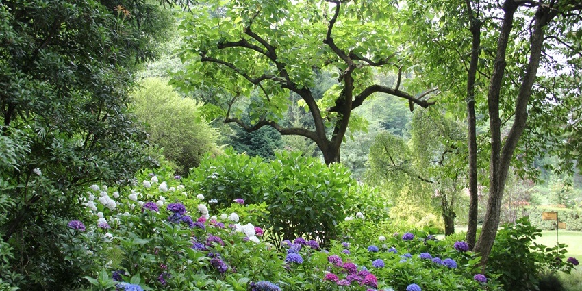 Enjoy a quiet time with your friends at the popular Garden of Five Senses, located in Saidulajab.