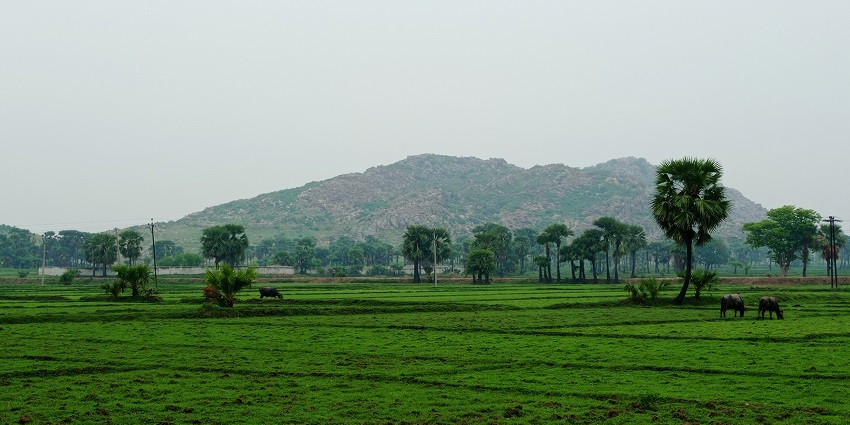 Explore the beautiful Barabar hills located near the Gaya district in the state of Bihar, India.