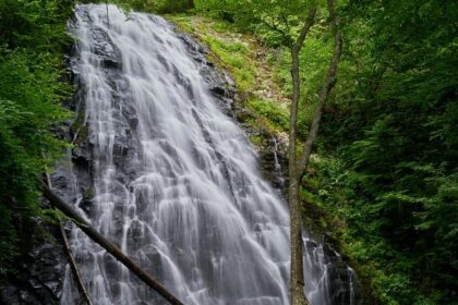 A beautiful picture of waterfalls in Ghagra in Chhattisgarh that offer serenity.