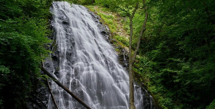 A beautiful picture of waterfalls in Ghagra in Chhattisgarh that offer serenity.