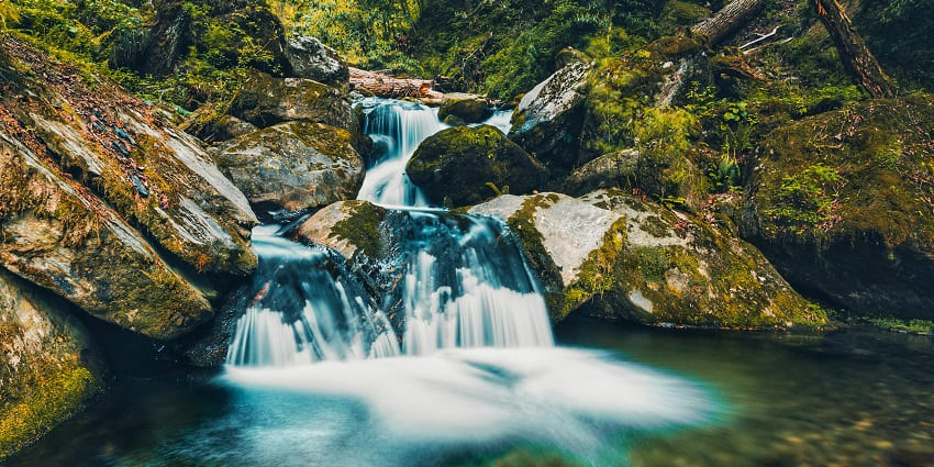 Wide view of Ghagra Waterfalls surrounded by dense trees and vibrant green foliage.
