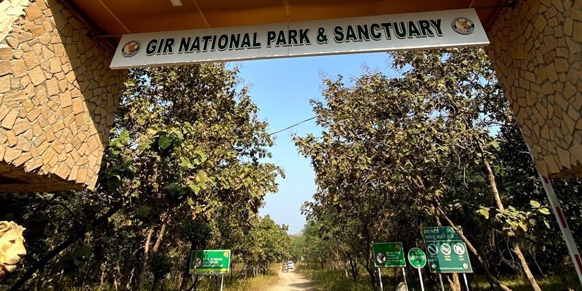 Image of the entrance to Gir National Park surrounded by lush greenery, safari around