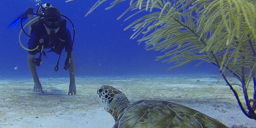 Goa Aquatics, popular for its extremely vibrant and friendly atmosphere, perfect to learn