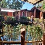 The interior view of the museum with a pond and trees around offering homely view.