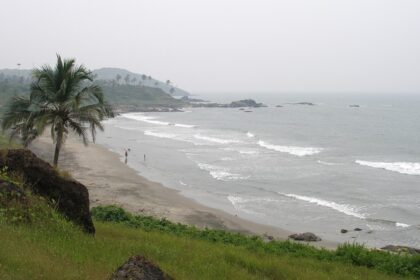 A picture of a beach in Goa with pine trees and greenery around the shore