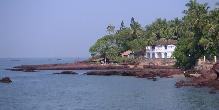 A scenic landscape view of Goa with coconut trees, a beach, and shacks.