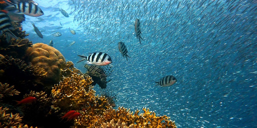 Goa Sathi offers its guests some of the best package deals and offers on different sports.