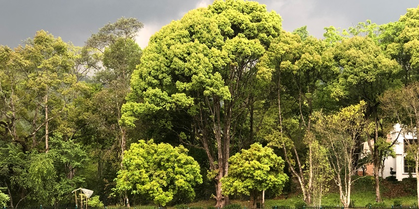 Godavari village is known for its botanical garden and is one of the places to visit in Nepal for couples.