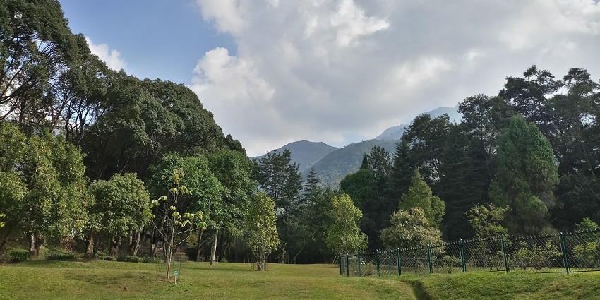 Godavari, in the Kathmandu Valley, is one of the must-visit spots for nature lovers.