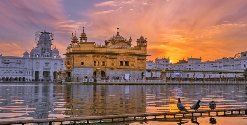 Amritsar, home to the stunning Golden Temple, is a vibrant hub of culture and spirituality