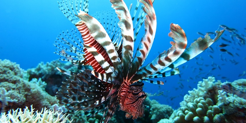 Grande Banks is one of the most breathtaking and amazing places for travellers to visit.