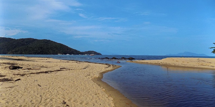 A scenic view of a beach, with lush greenery and clear blue waters, popular for scuba diving in north Goa.