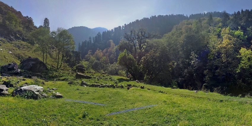 Lush green hills offering great serenity inside the Himalayan Nature Park Kufri