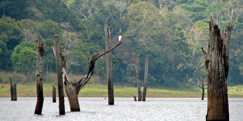 Panoramic image of the beautiful national park and the beautiful scenic lake amidst it.