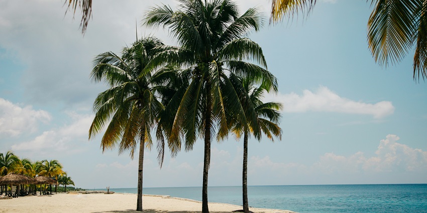 Hansa Beach is one of the most amazing places to visit in Panjim for travellers.