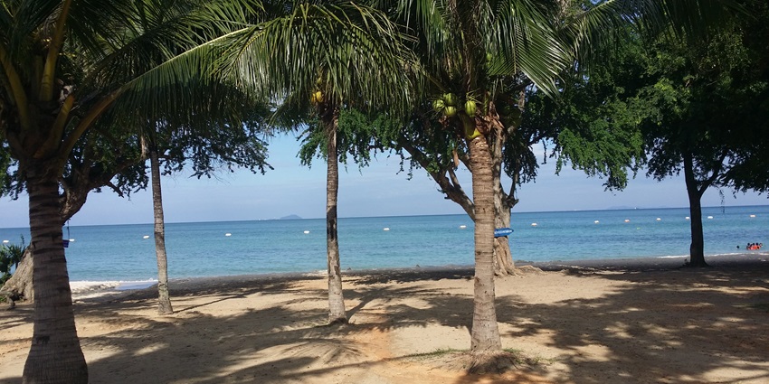 A picture of a vibrant beach in Ko Samet with views of tall pine trees and scenic blue waters